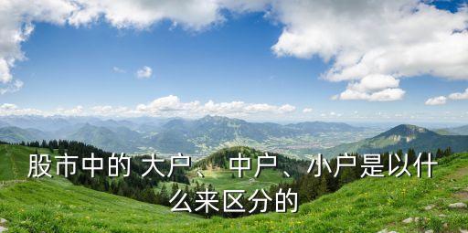 股市中的 大戶、 中戶、小戶是以什么來區(qū)分的
