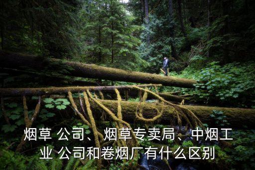  煙草 公司、 煙草專(zhuān)賣(mài)局、中煙工業(yè) 公司和卷煙廠有什么區(qū)別