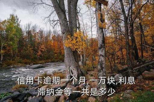  信用卡逾期一個(gè)月,一萬塊,利息 滯納金等一共是多少