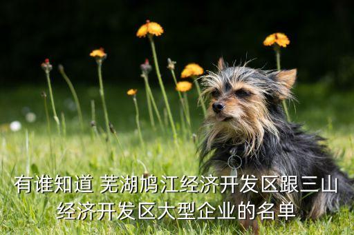 有誰(shuí)知道 蕪湖鳩江經(jīng)濟(jì)開發(fā)區(qū)跟三山經(jīng)濟(jì)開發(fā)區(qū)大型企業(yè)的名單