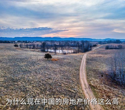 為什么現(xiàn)在中國的房地產(chǎn)價(jià)格這么高