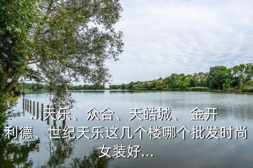 ...天樂、眾合、天皓城、 金開 利德、世紀天樂這幾個樓哪個批發(fā)時尚女裝好...