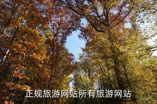 正規(guī)旅游網站所有旅游網站