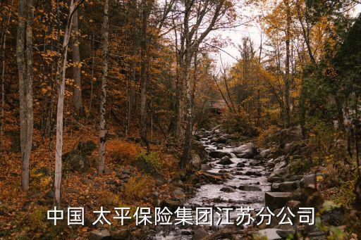 中國 太平保險集團(tuán)江蘇分公司