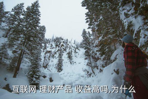 互聯網 理財產品 收益高嗎,為什么