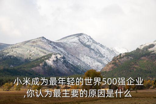  小米成為最年輕的世界500強企業(yè),你認(rèn)為最主要的原因是什么