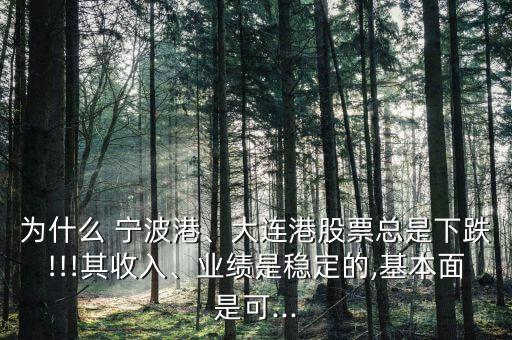 為什么 寧波港、大連港股票總是下跌!!!其收入、業(yè)績是穩(wěn)定的,基本面是可...