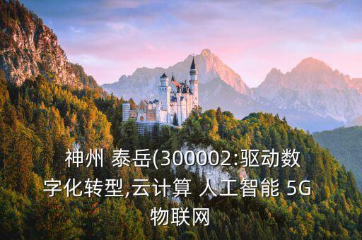  神州 泰岳(300002:驅(qū)動數(shù)字化轉(zhuǎn)型,云計(jì)算 人工智能 5G 物聯(lián)網(wǎng)