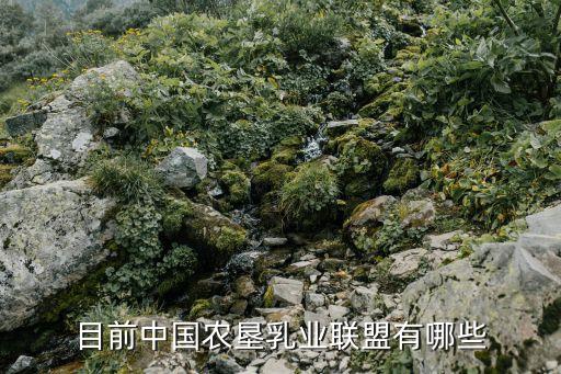 目前中國農墾乳業(yè)聯盟有哪些