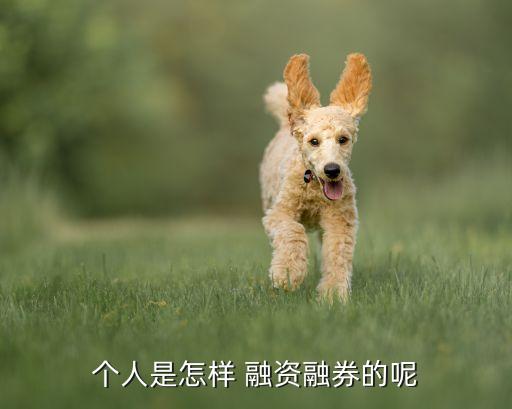 個(gè)人購(gòu)買(mǎi)股票怎么樣融資,融資余額越來(lái)越少的股票怎么樣