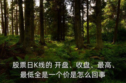  股票日K線的 開盤、收盤、最高、最低全是一個價是怎么回事