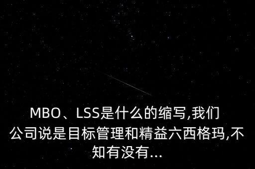 MBO、LSS是什么的縮寫,我們 公司說是目標(biāo)管理和精益六西格瑪,不知有沒有...