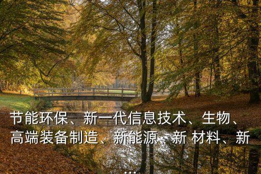 節(jié)能環(huán)保、新一代信息技術(shù)、生物、 高端裝備制造、新能源、新 材料、新...