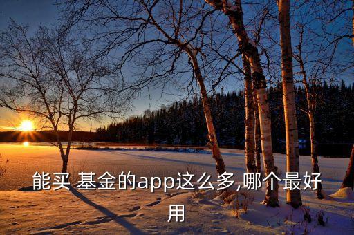 互聯(lián)網基金對比,招商互聯(lián)網基金