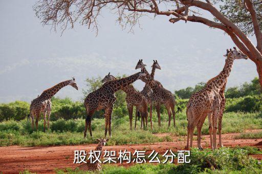 綠城中國股權結構,中國醫(yī)藥股權結構