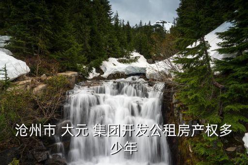 滄州市 大元 集團開發(fā)公租房產(chǎn)權多少年