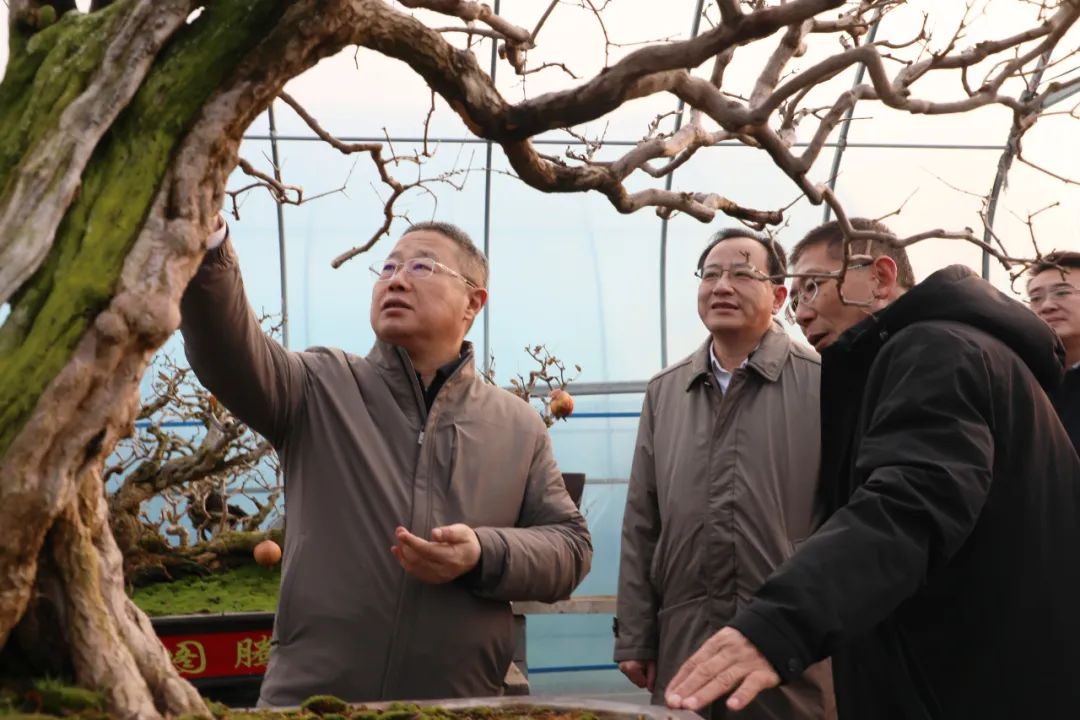 ���f��ί����ӛ������ί��ӛ�����ށ�F�ǅ^(q��)�{��ʯ��a�I(y��)�l(f��)չ����